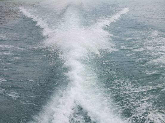 1599550703423092726.jpg 2.2.jpg